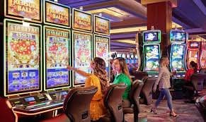 venusbet login Allbet betting interface showing chip selection and live dealer feed